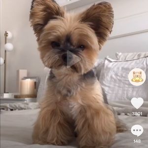 Meet your Posher, Roberta